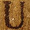 U