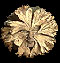 The Green Man